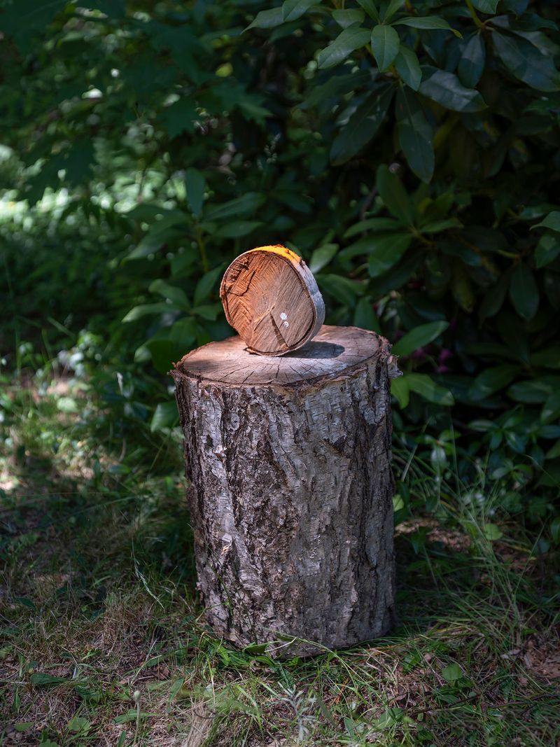 © Igor Omulecki - Image from the Stereo Ha photography project