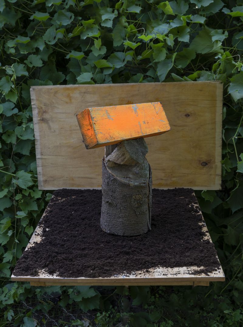 © Igor Omulecki - Image from the Stereo Ha photography project