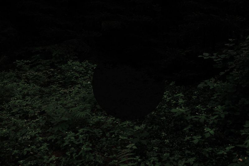 © Igor Omulecki - Image from the Waveherd photography project