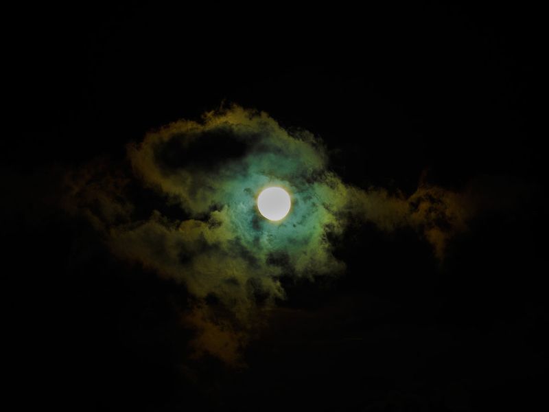 © Igor Omulecki - Image from the Waveherd photography project