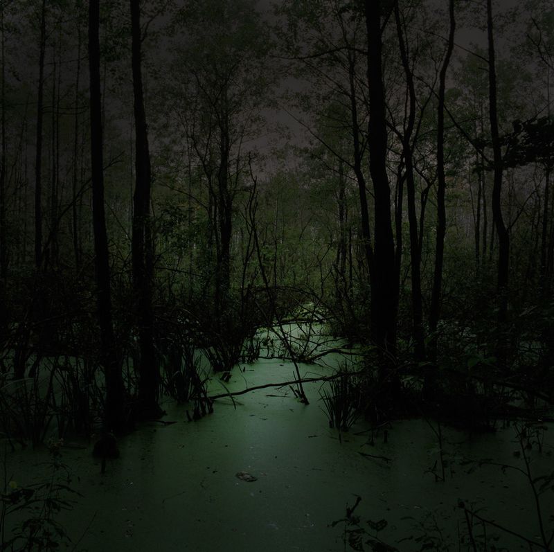 © Igor Omulecki - Image from the Waveherd photography project