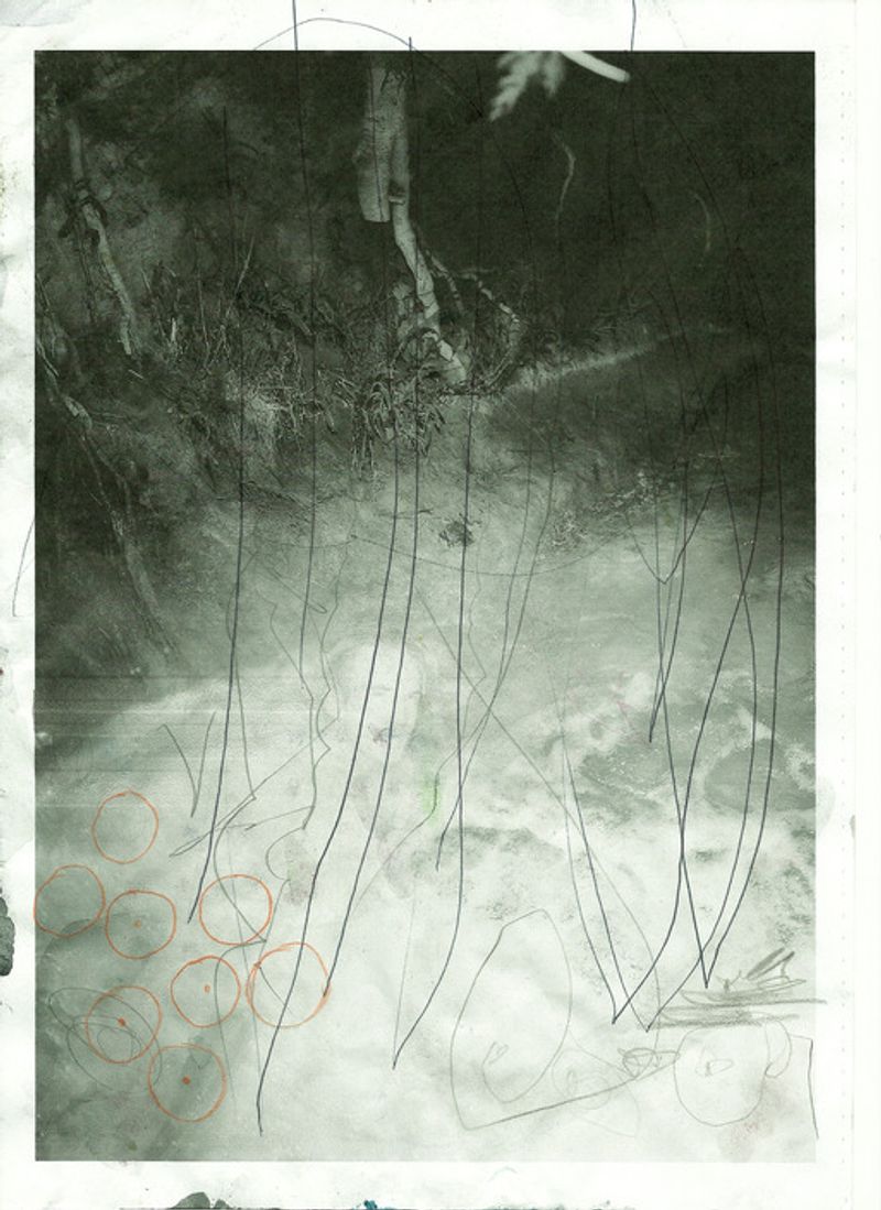 © Igor Omulecki - Image from the Waveherd photography project