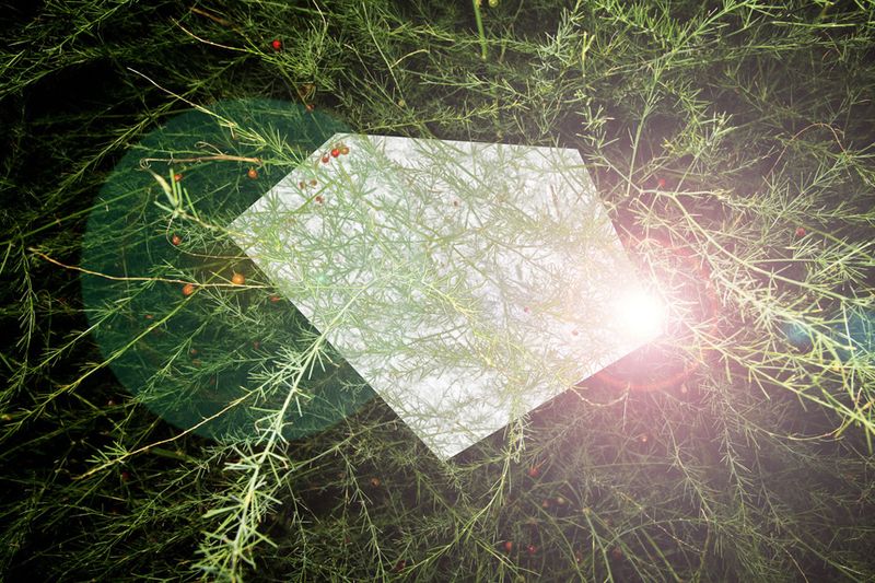 © Igor Omulecki - Image from the Waveherd photography project