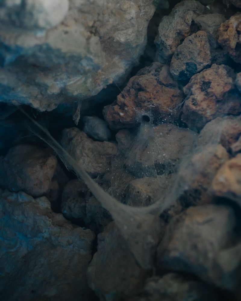 © Thomas Martin - Image from the Somewhere Less Than Heaven photography project