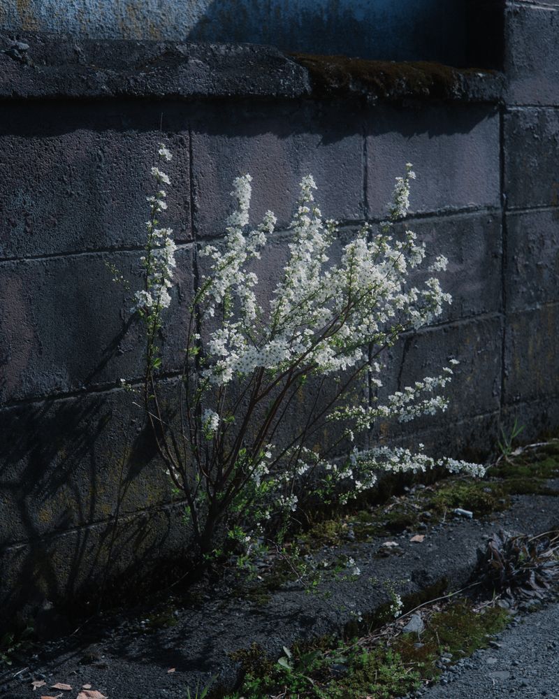 © Thomas Martin - Image from the FAULTS (WIP) photography project