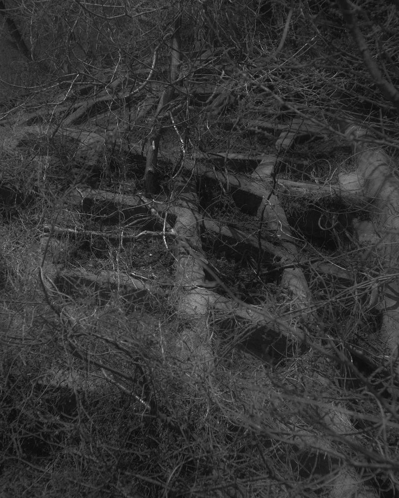 © Thomas Martin - Image from the FAULTS (WIP) photography project