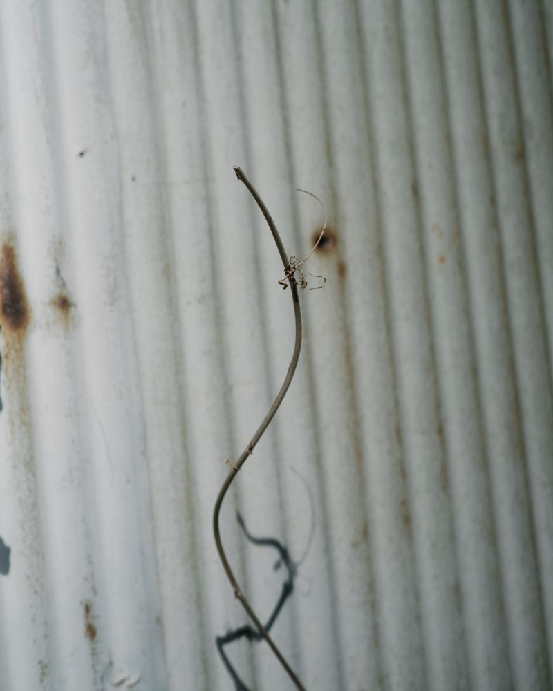 © Thomas Martin - Image from the FAULTS (WIP) photography project