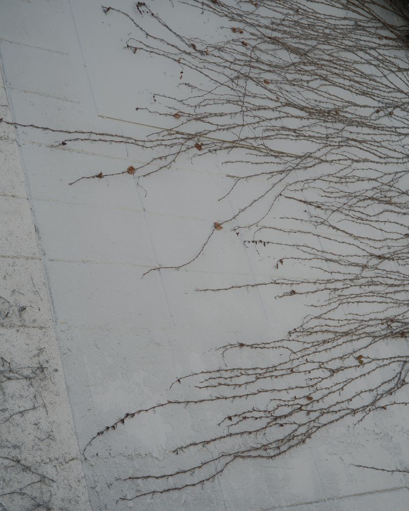 © Thomas Martin - Image from the FAULTS (WIP) photography project