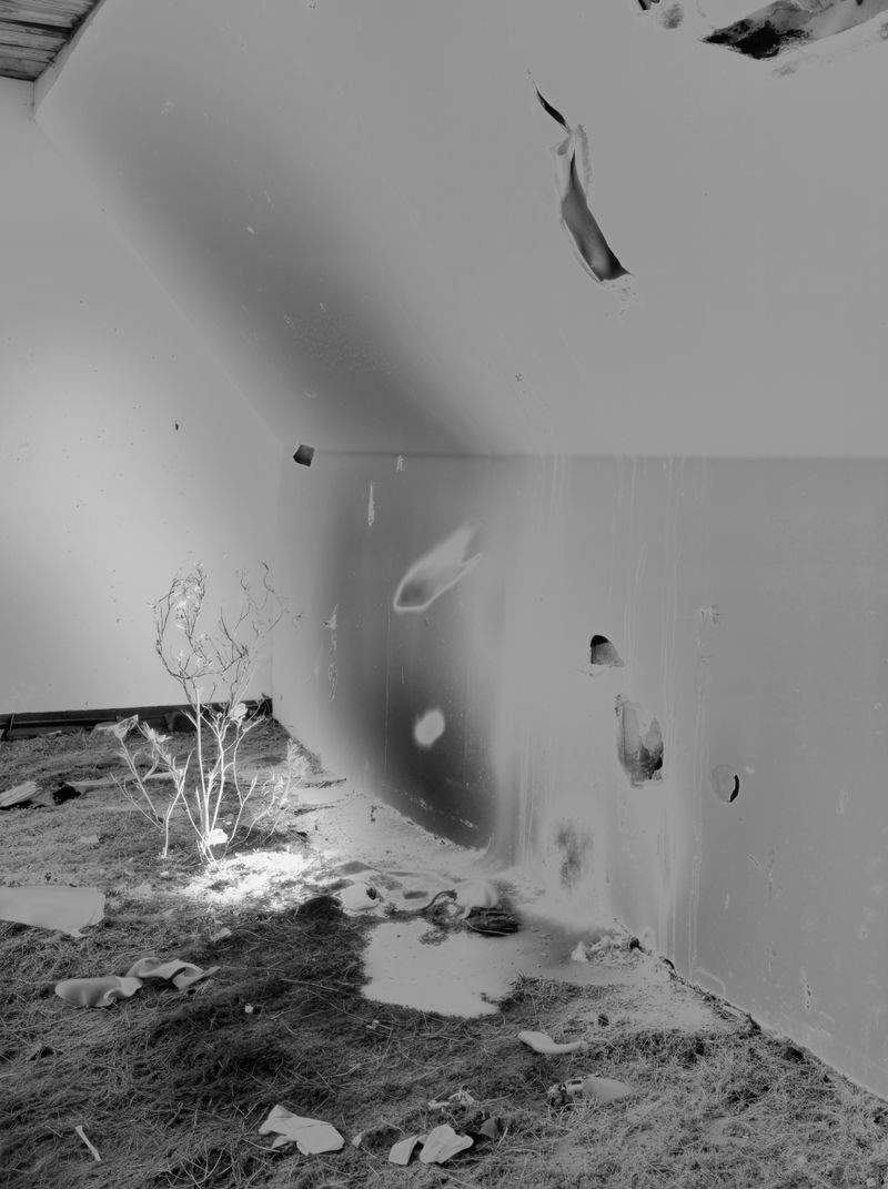 © Thomas Martin - Image from the To Dream a Night, Gently, Through a Glass, Darkly photography project
