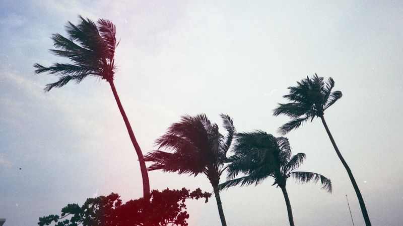 © Adél  Koleszár - Image from the Wounds of violence photography project