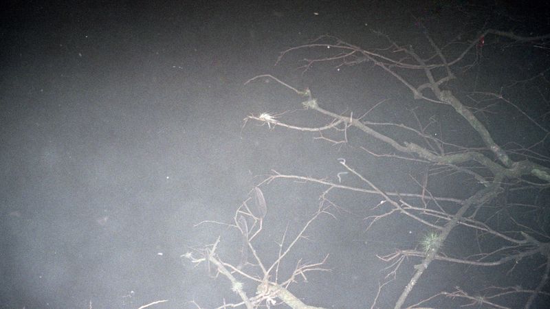 © Adél  Koleszár - Image from the Wounds of violence photography project