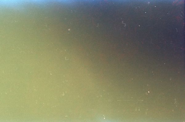 © Adél  Koleszár - Only have faith - Solecito Veracruz