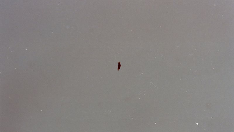 © Adél  Koleszár - Image from the Wounds of violence photography project