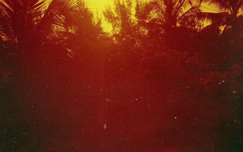 © Adél  Koleszár - Veracruz ’s beautiful. It is filled with life, with light, with warmth, with the tropic.