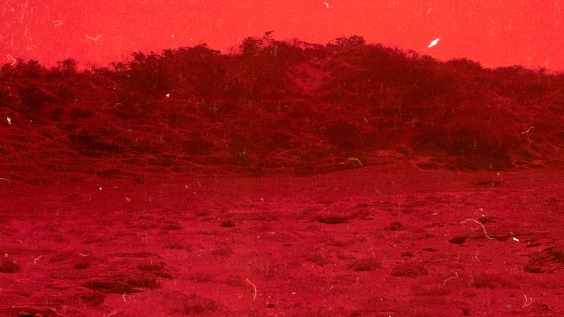 © Adél  Koleszár - Image from the Wounds of violence photography project