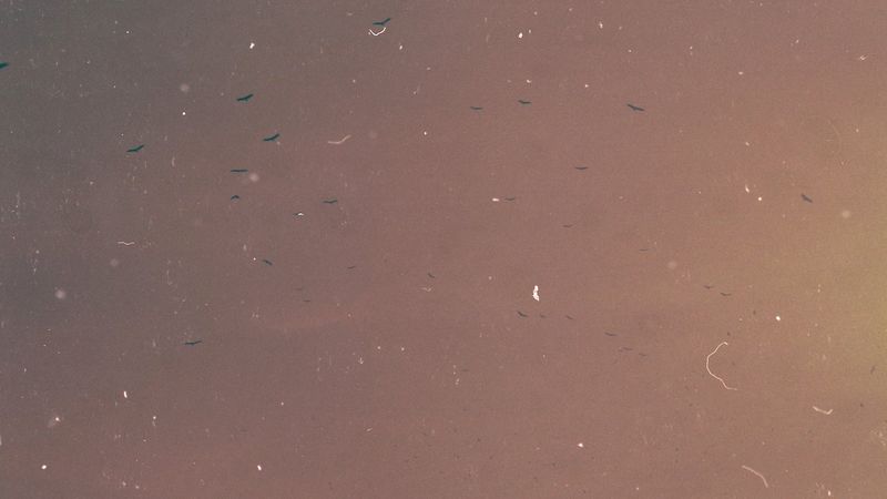 © Adél  Koleszár - Image from the Wounds of violence photography project