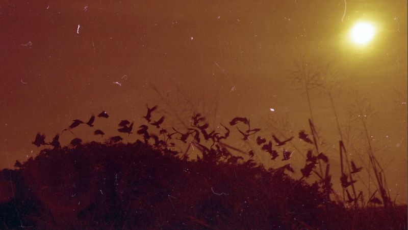 © Adél  Koleszár - Image from the Wounds of violence photography project