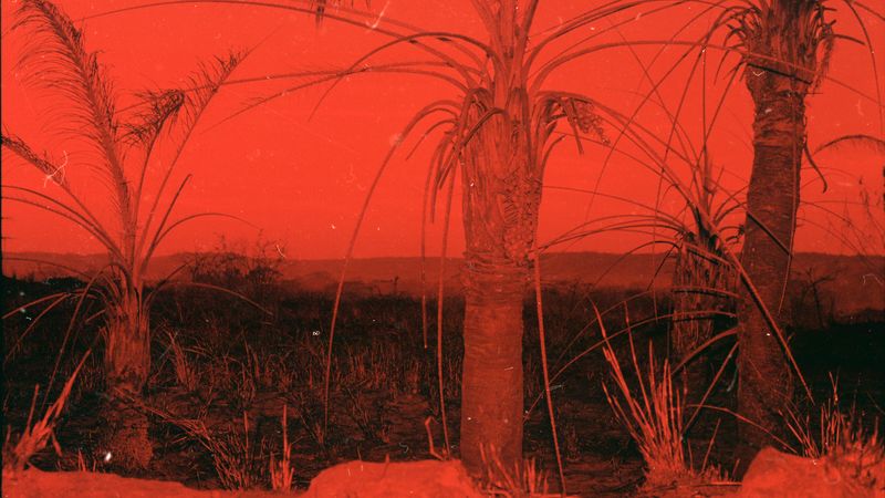 © Adél  Koleszár - Image from the Wounds of violence photography project