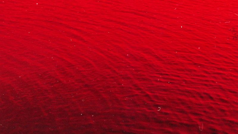 © Adél  Koleszár - Image from the Wounds of violence photography project