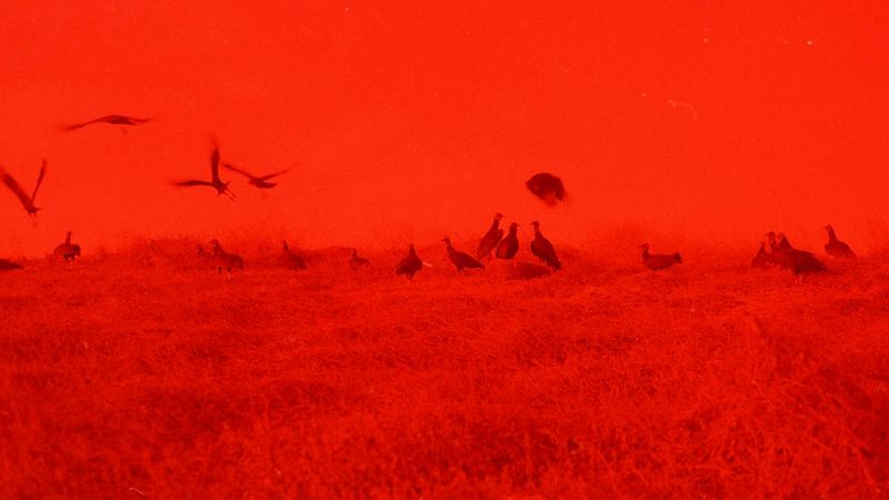 © Adél  Koleszár - Image from the Wounds of violence photography project