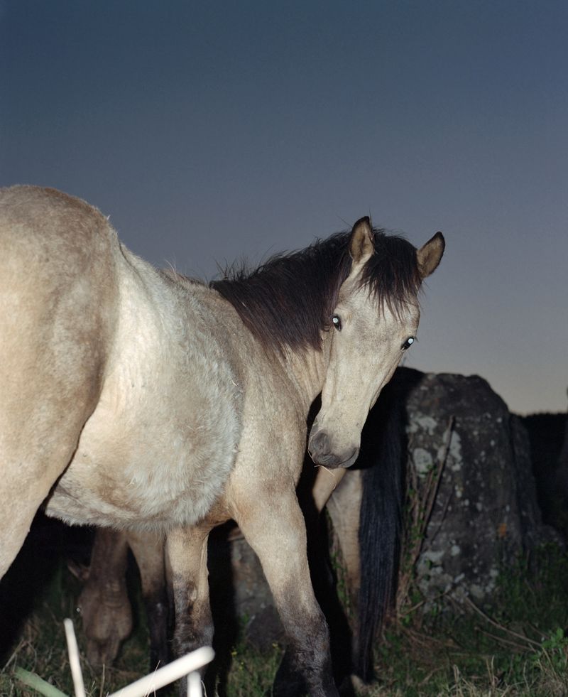 © Robin Bernstein - Image from the MAPALAKATA photography project