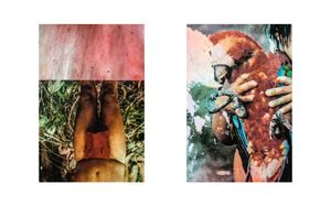 Travelling through the territory