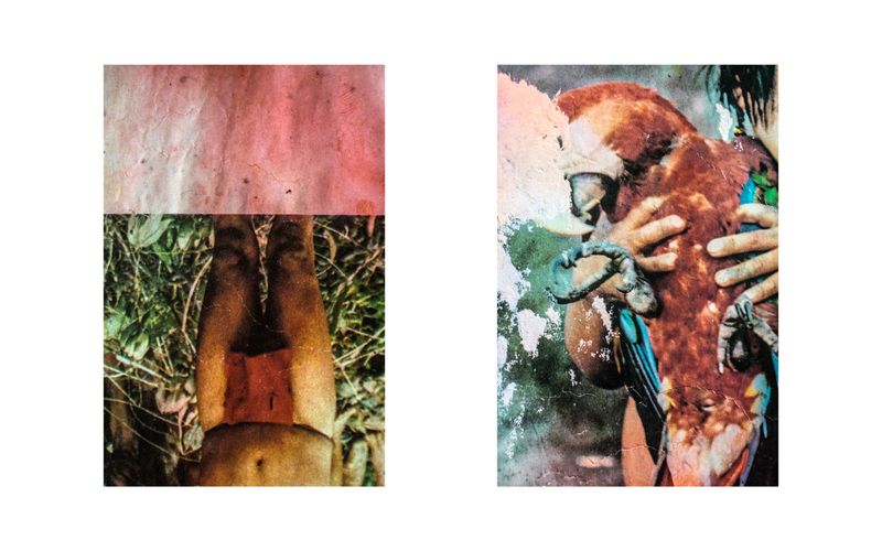 © Gabriel Uchida - Kanindea