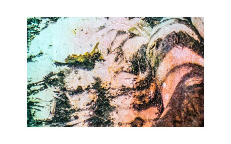 © Gabriel Uchida - Yvá