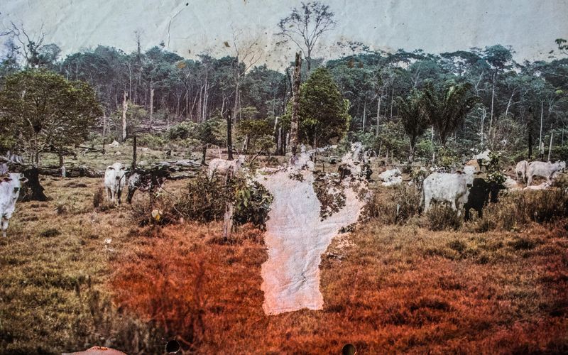 © Gabriel Uchida - Iputawaea