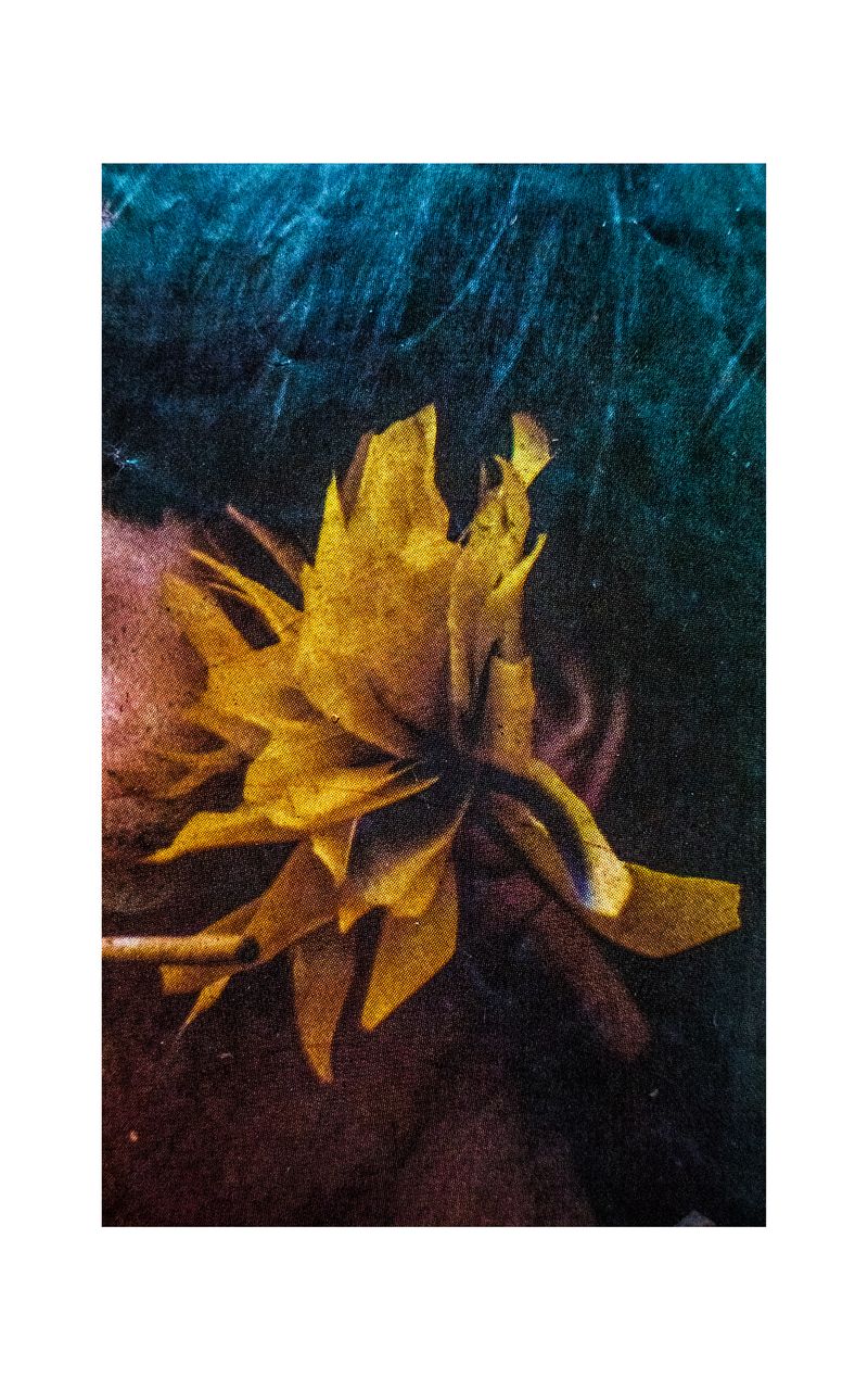 © Gabriel Uchida - Kapyra