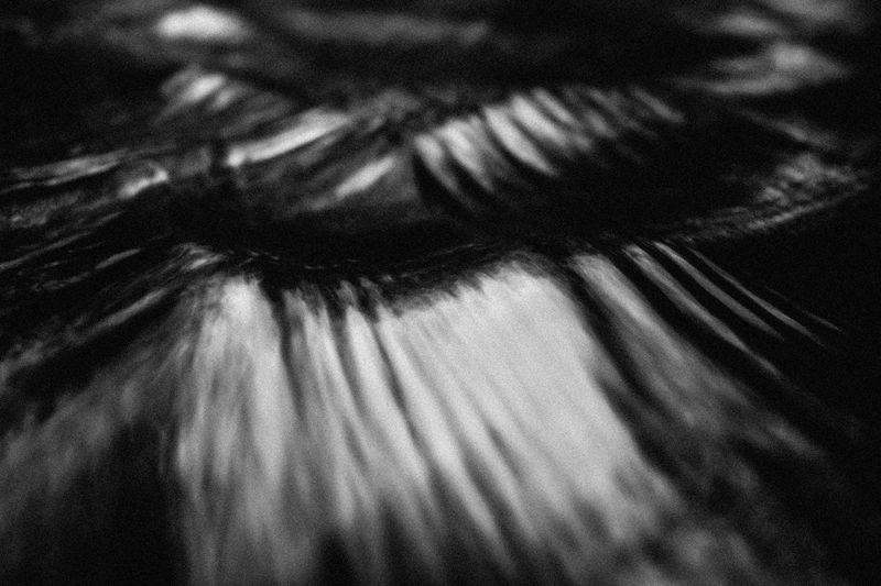 © Gabriel Uchida - Image from the Oro Nao photography project