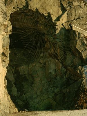 Freezer International Photography Festival '25