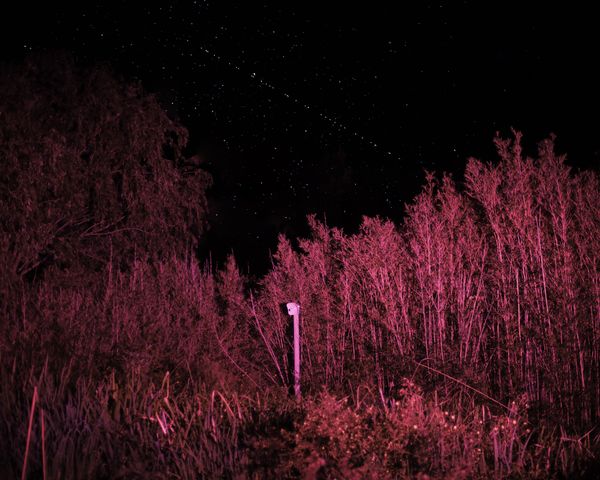 © Luciana Demichelis - Image from the The earth is a satellite of the moon photography project