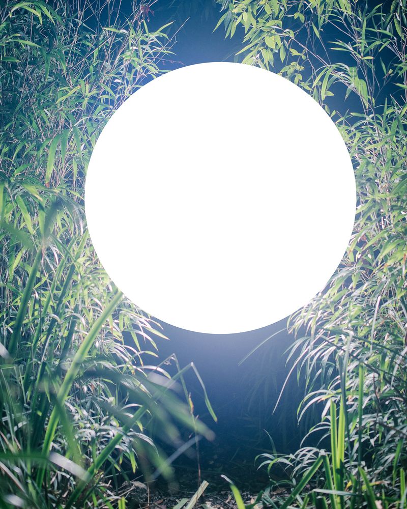 © Luciana Demichelis - Image from the The earth is a satellite of the moon photography project