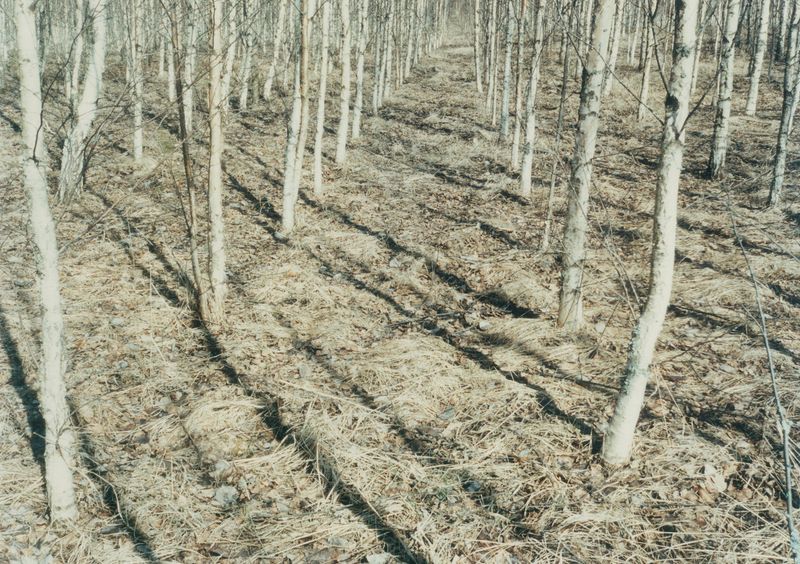 © Laving - Image from the Fever photography project