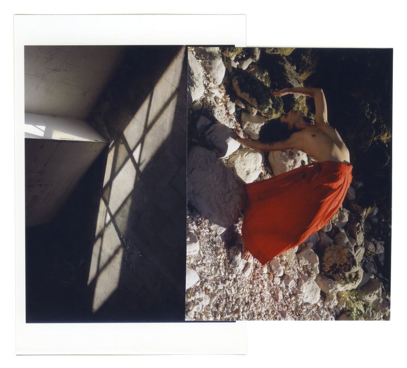 © Hanneke van Leeuwen - From the series Coral. Collage. 2024