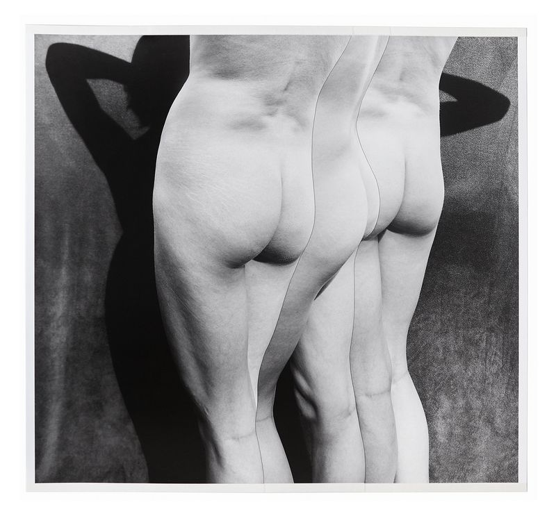 © Hanneke van Leeuwen - From the serie Coral. Part of a diptych. Cutout with archival tape. 2019