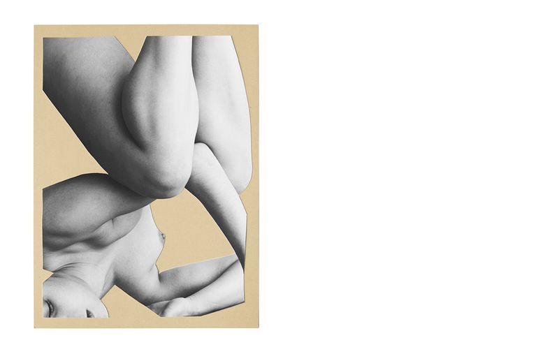 © Hanneke van Leeuwen - From the series Coral. Titled: Ode (part of serie of 7) Cutout on paper. 2020