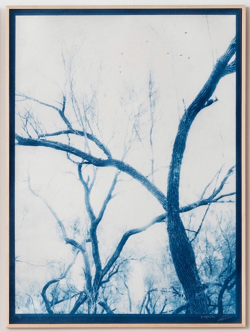 © Itamar Freed - Image from the Lucid Dreams photography project