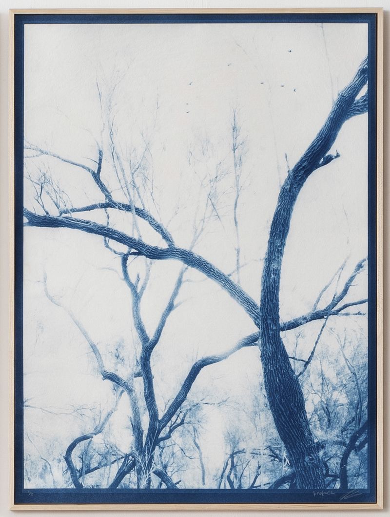 © Itamar Freed - Image from the Lucid Dreams photography project