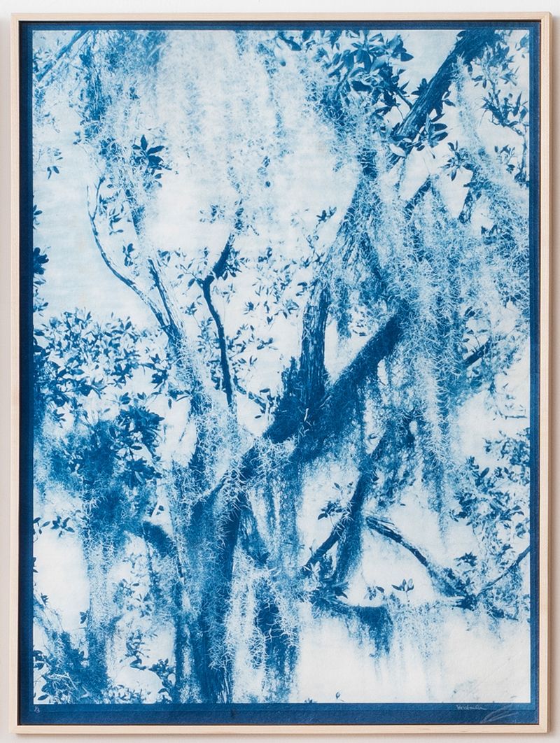 © Itamar Freed - Image from the Lucid Dreams photography project