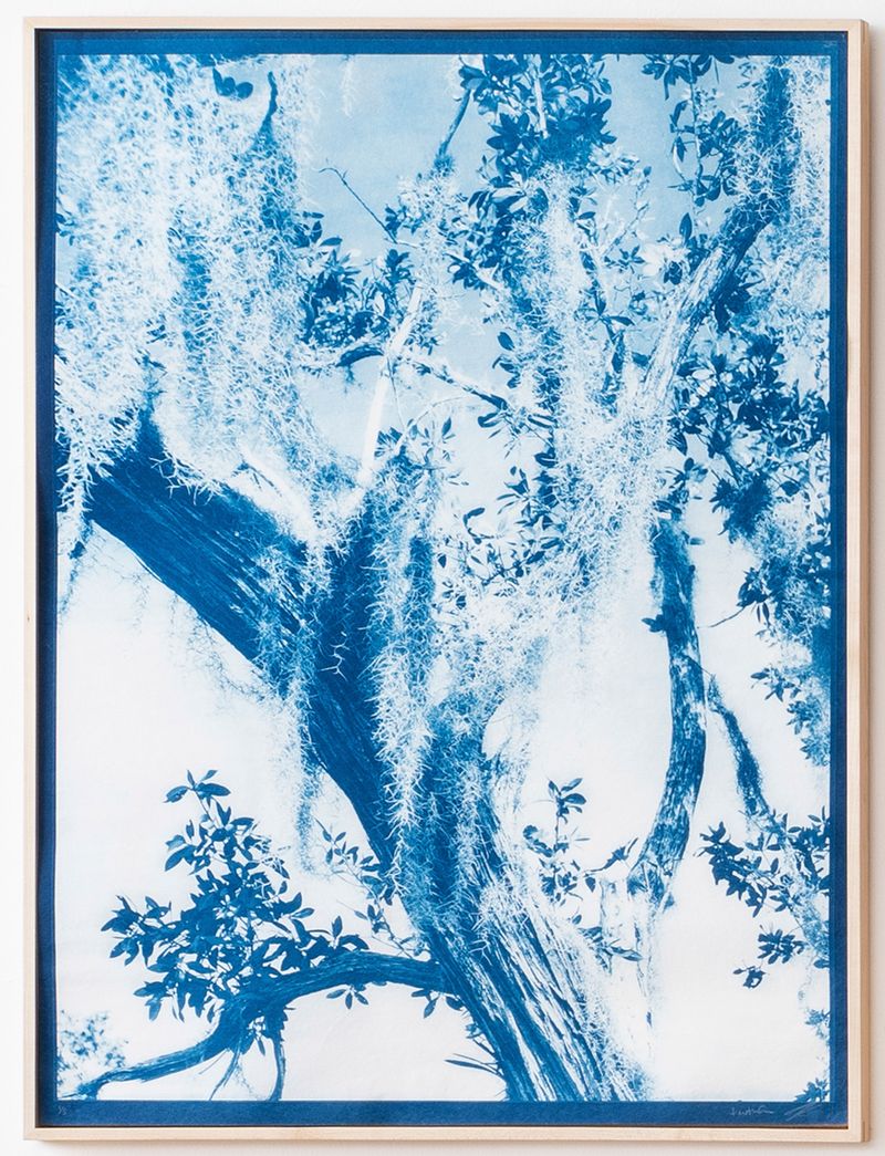 © Itamar Freed - Image from the Lucid Dreams photography project