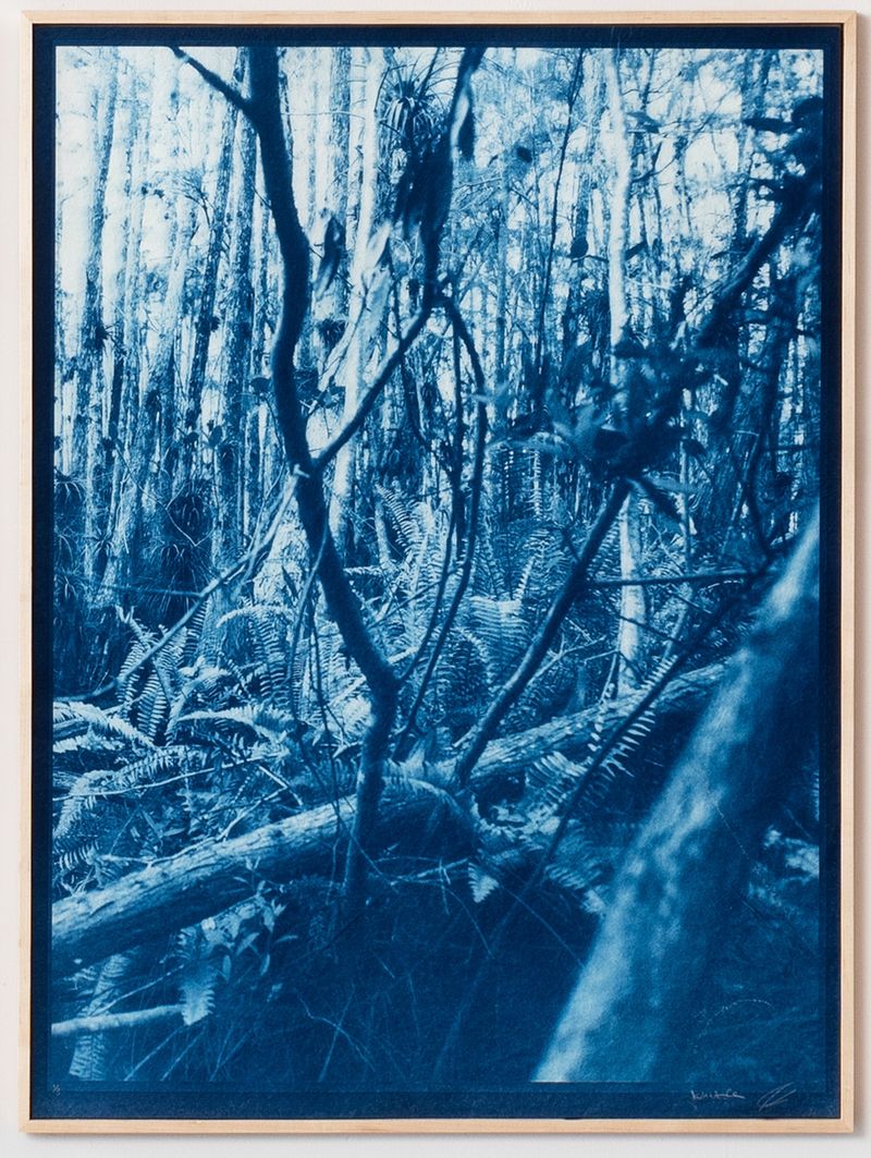 © Itamar Freed - Image from the Lucid Dreams photography project