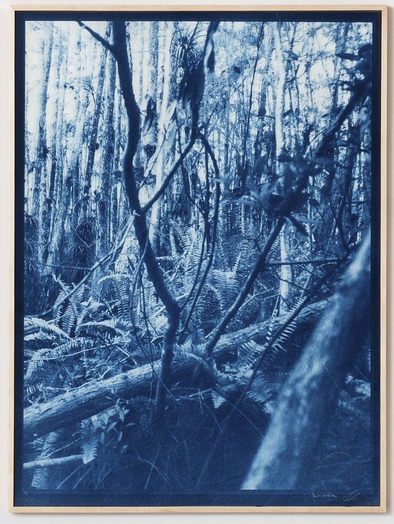 © Itamar Freed - Image from the Lucid Dreams photography project