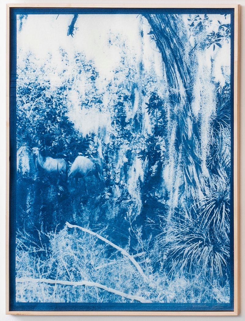 © Itamar Freed - Image from the Lucid Dreams photography project