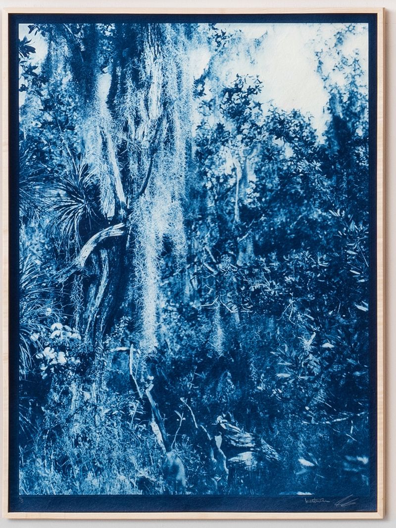 © Itamar Freed - Image from the Lucid Dreams photography project