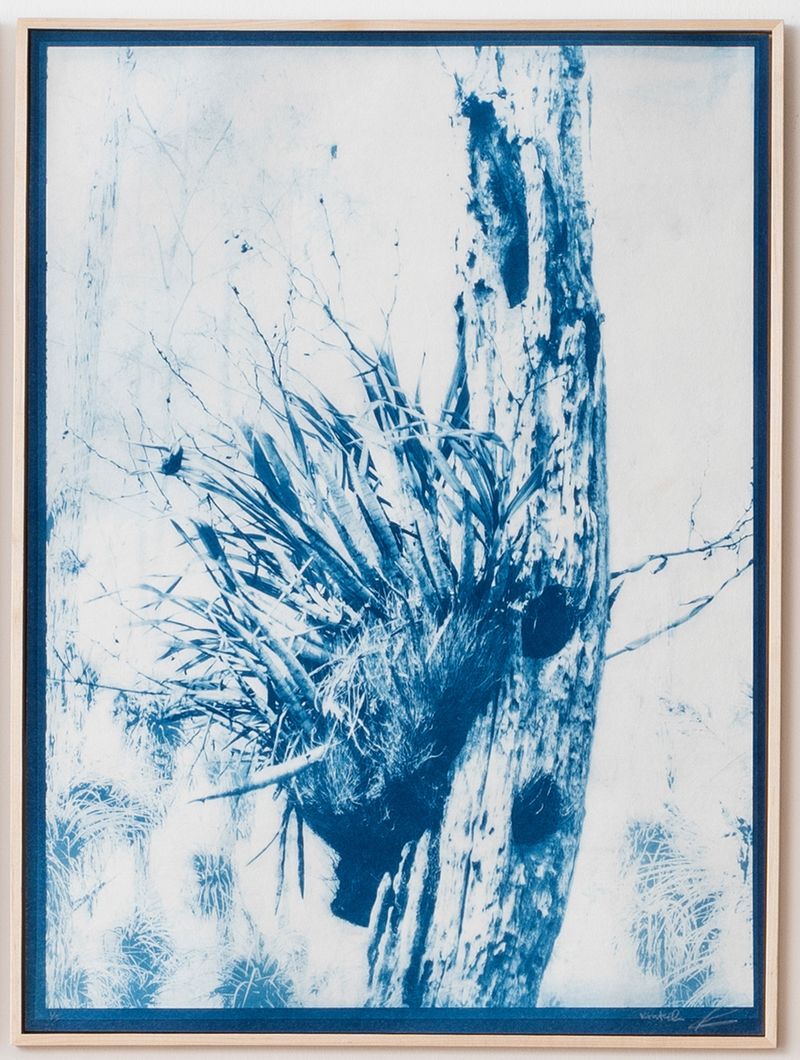 © Itamar Freed - Image from the Lucid Dreams photography project