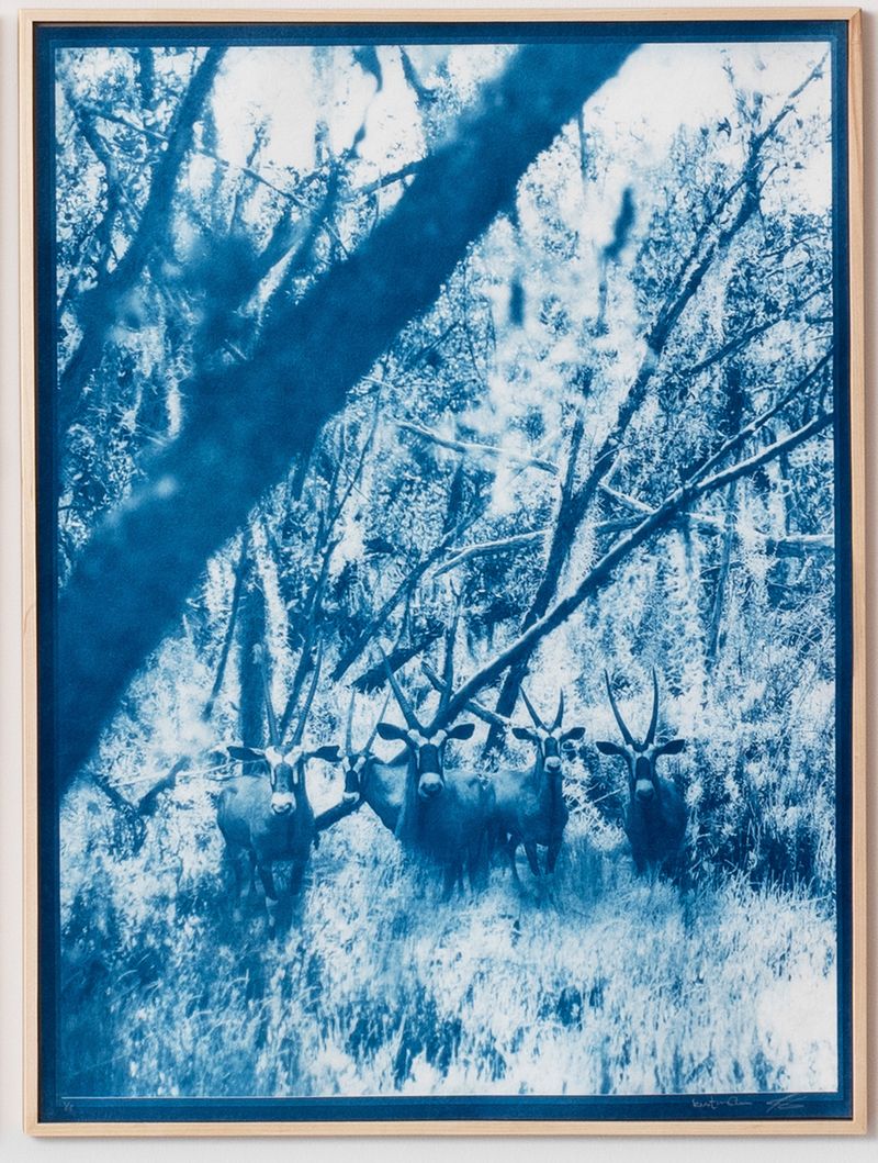 © Itamar Freed - Image from the Lucid Dreams photography project