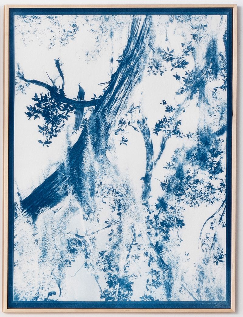 © Itamar Freed - Image from the Lucid Dreams photography project