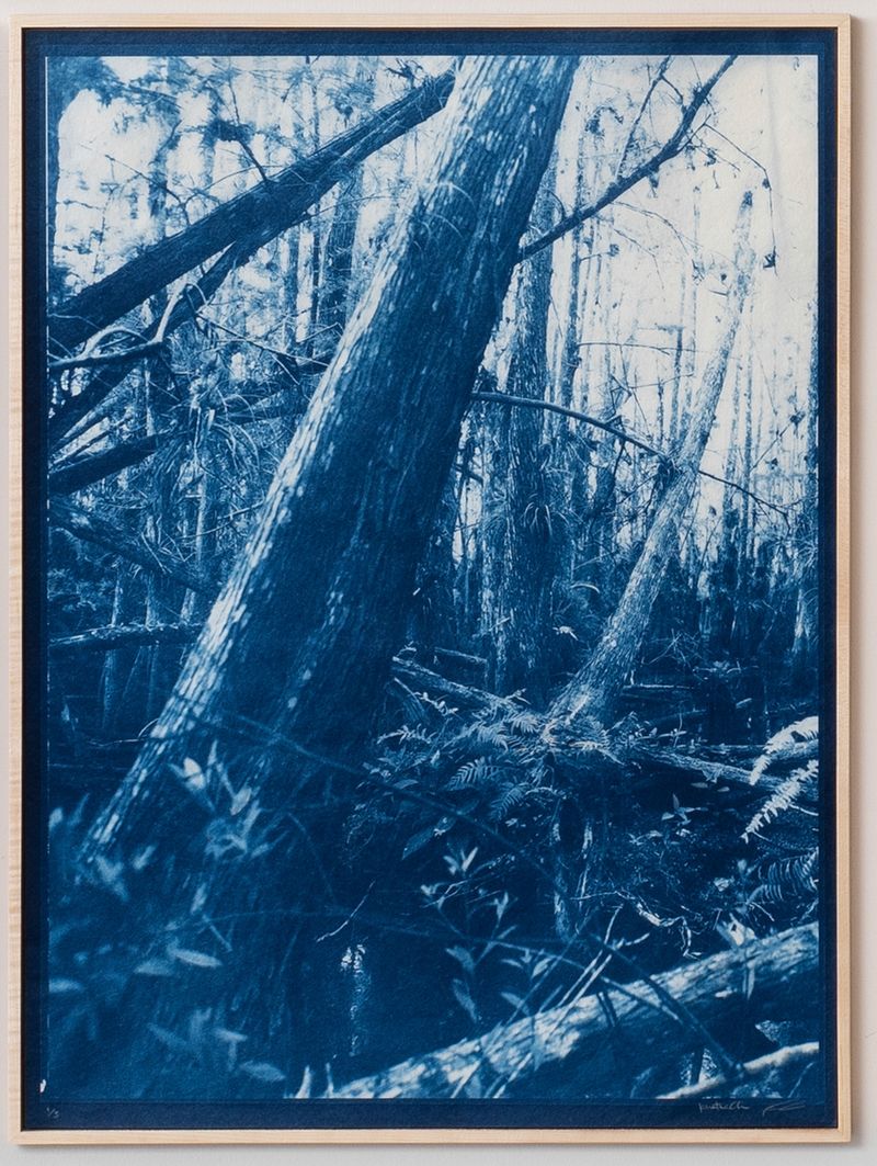 © Itamar Freed - Image from the Lucid Dreams photography project